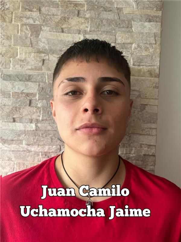 Órganos de Participación