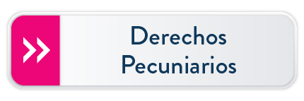 Derechos<br />
Pecuniarios