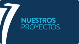 Nuestros Proyectos