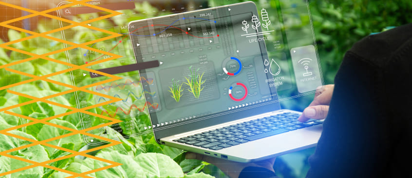 ual es la importancia de la agricultura sostenible