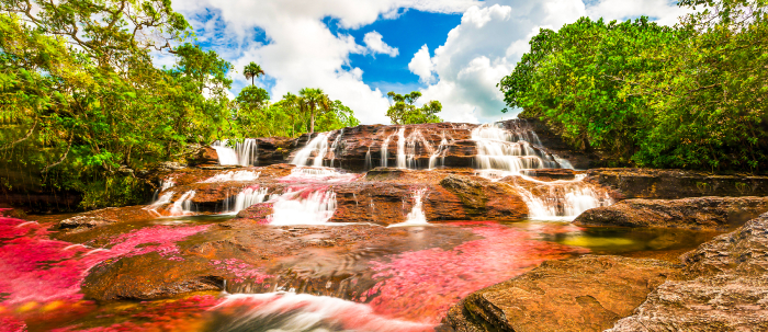 Turismo en Colombia: Caño Cristales, Meta.