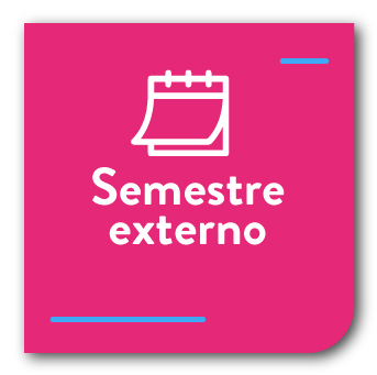 Semestre externo