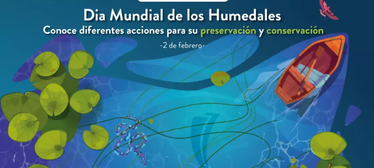 ajuste-web-noticia-com-3631-humedales.jpg
