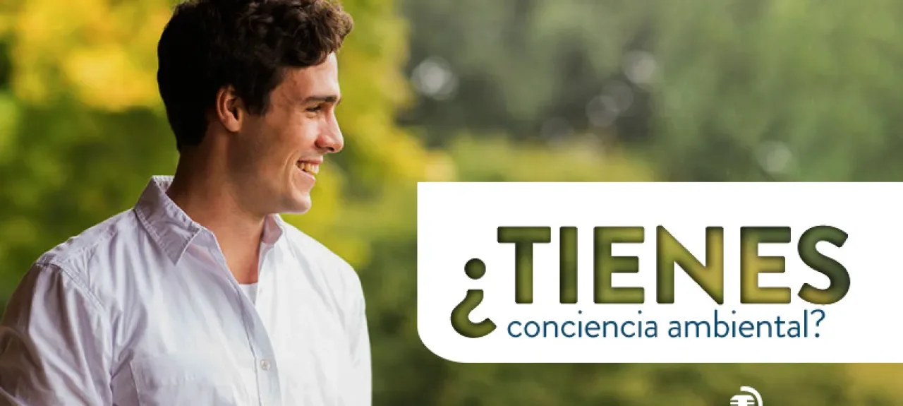 ambiental-puntos-y-letras.jpg
