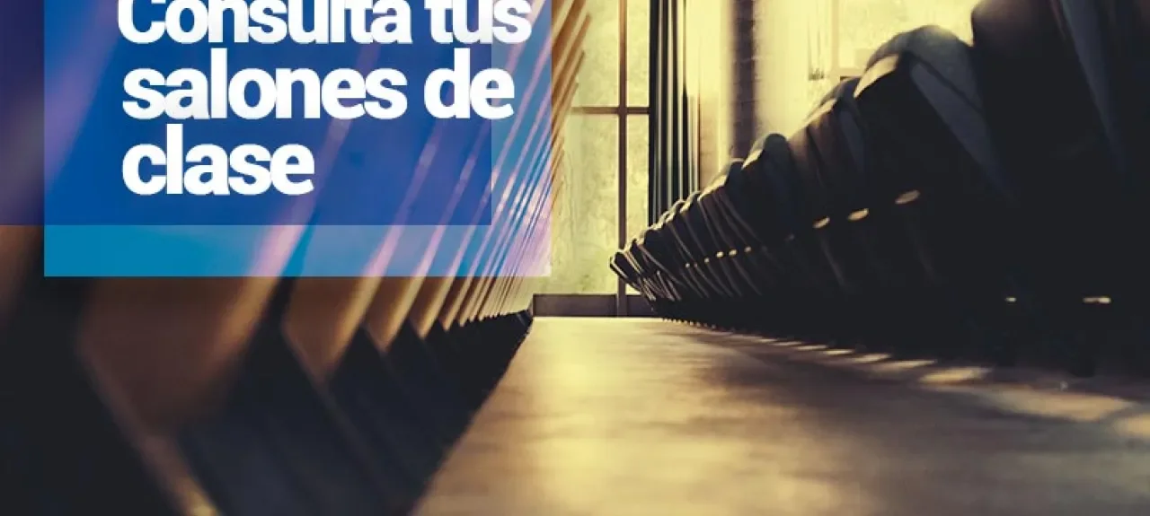 consulta_salones_web.jpg