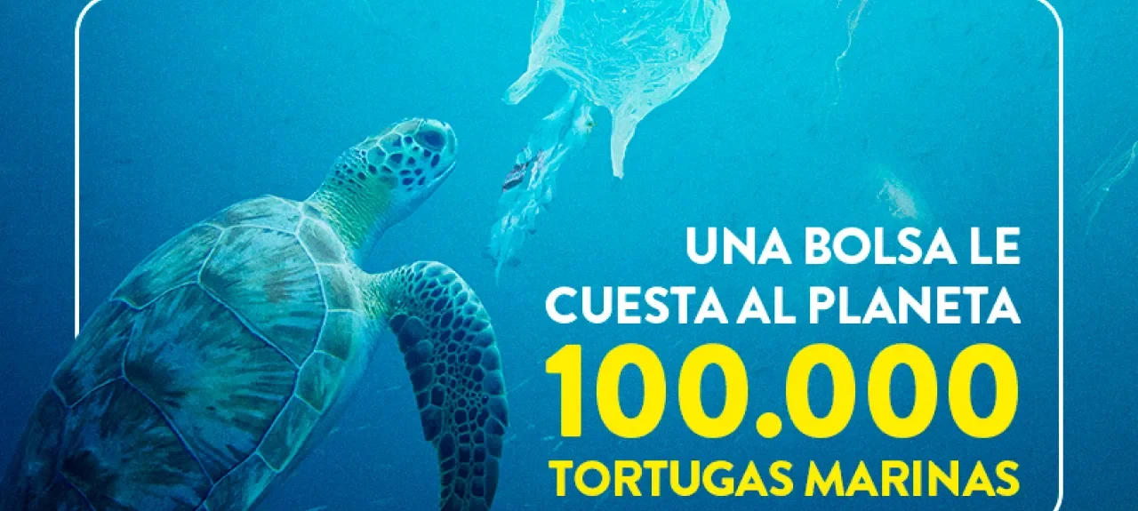 dia_internacional_libre_de_las_bolsas_de_plastico_-_web_noticia_-_805x536px_0.jpg