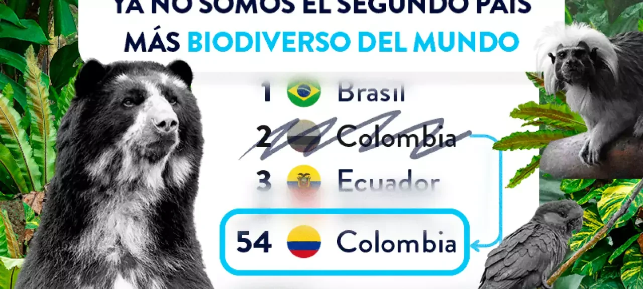 dia_mundial_de_los_animales_-_web_noticia_-_805x536px.jpg