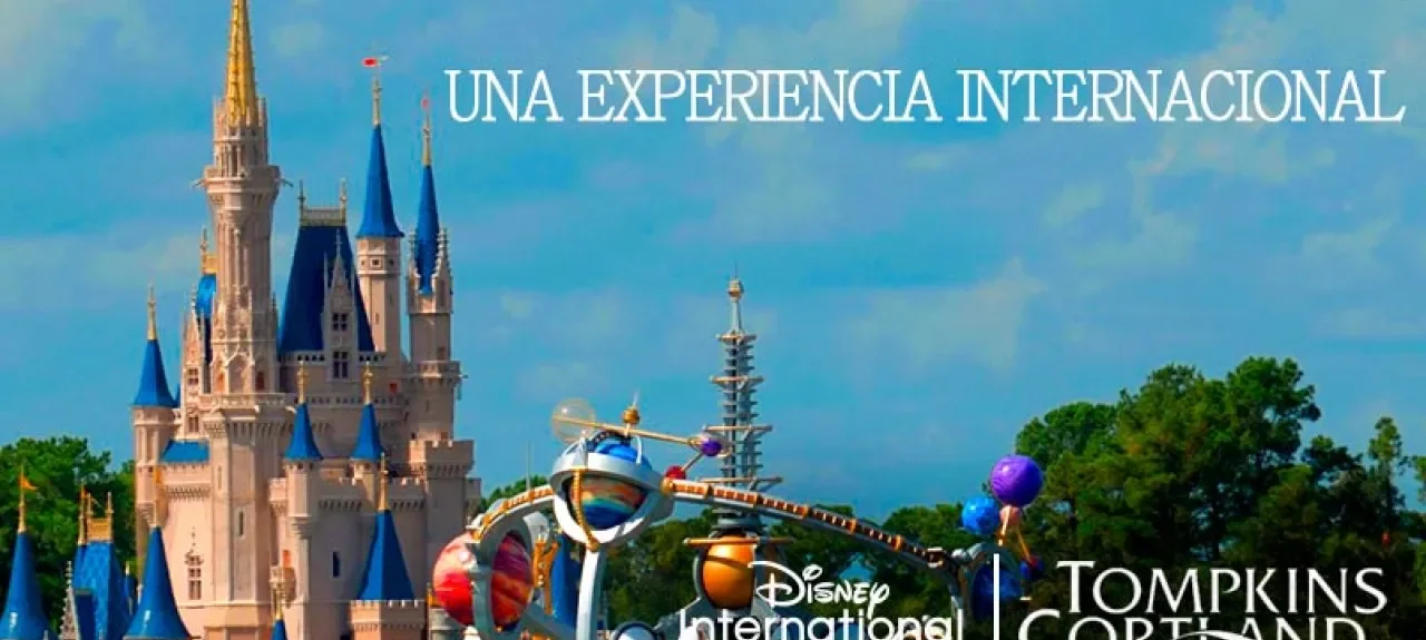 disney_web_0.jpg