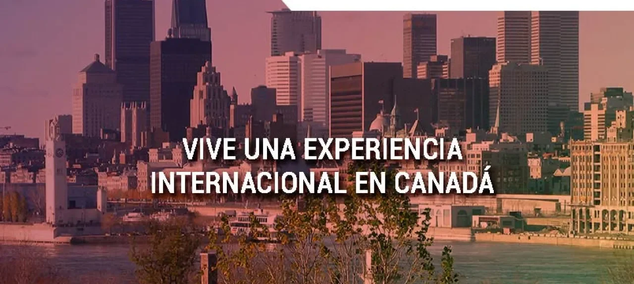 experienciamejorada.jpg