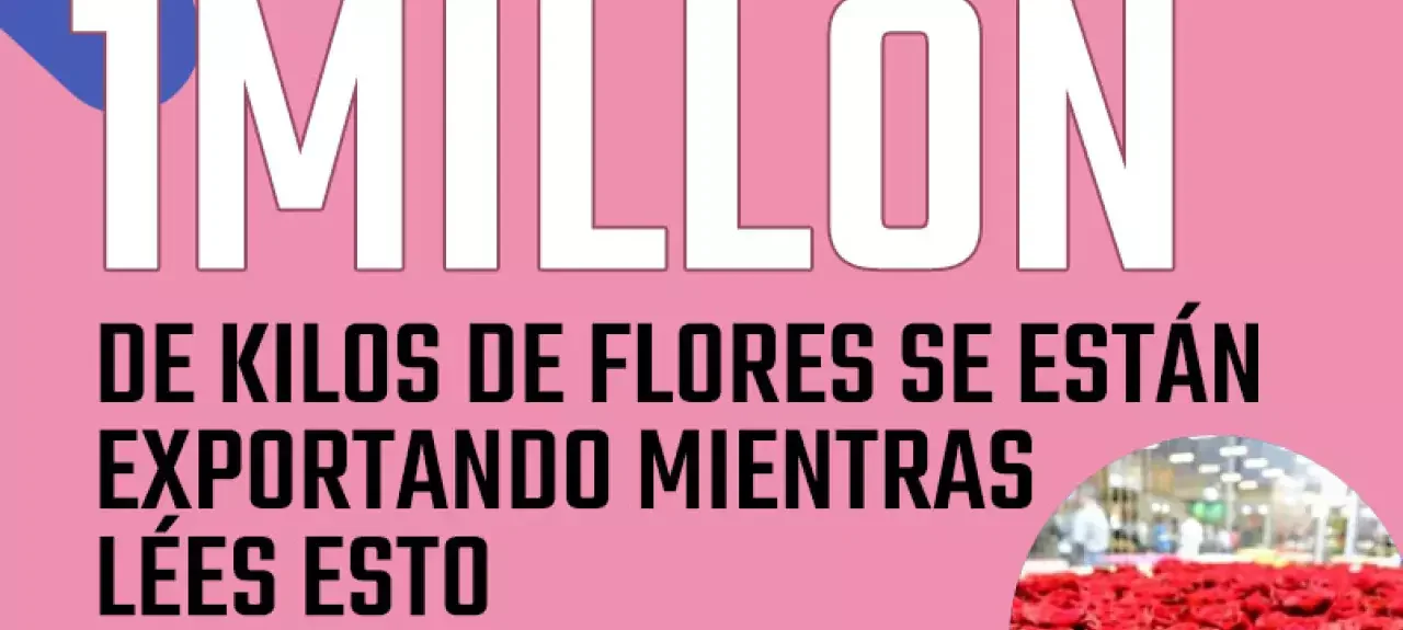 feliz-dia-san-valentin-en-cifras-colombia-un-millon-de-flores.jpg