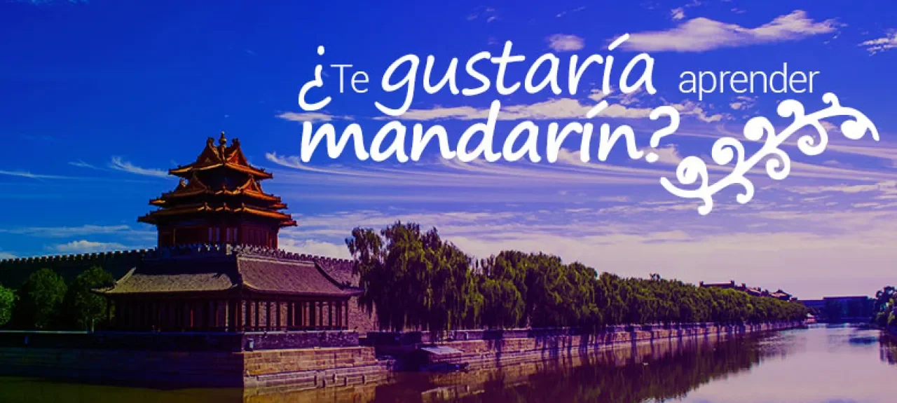 mandarin-web.jpg
