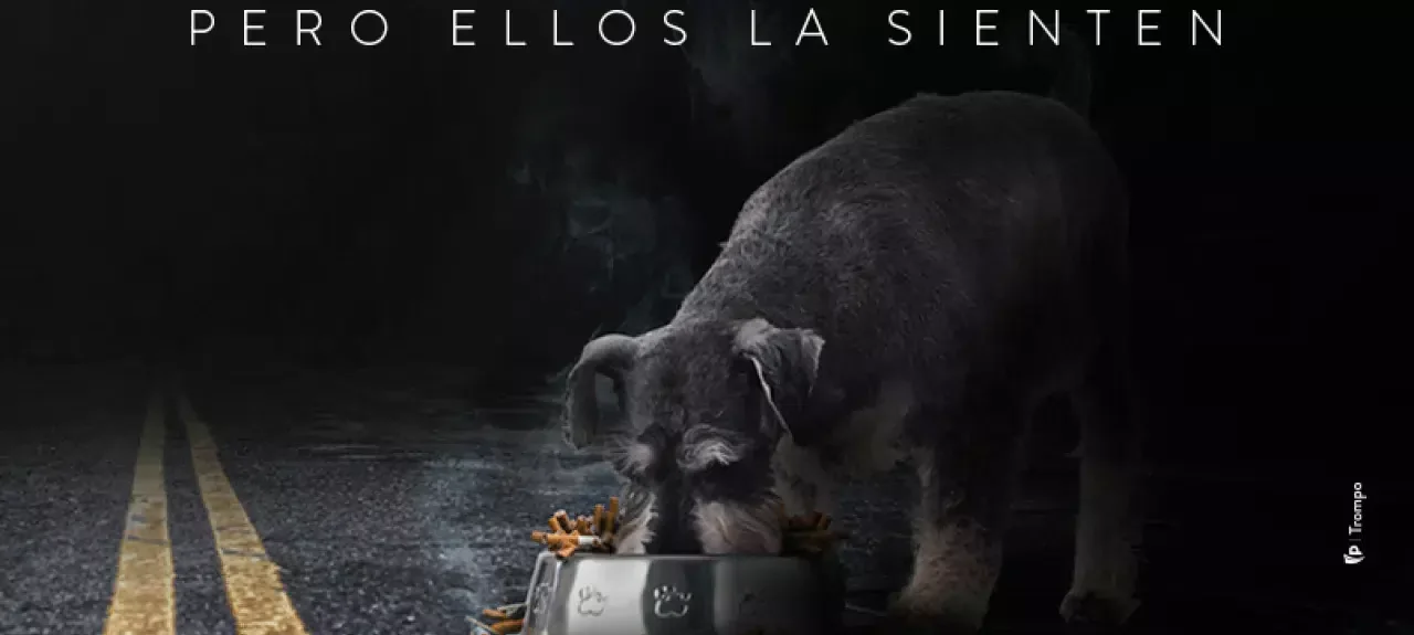 no-mas-colillas-cabezote-web-noticia-805x536px.jpg