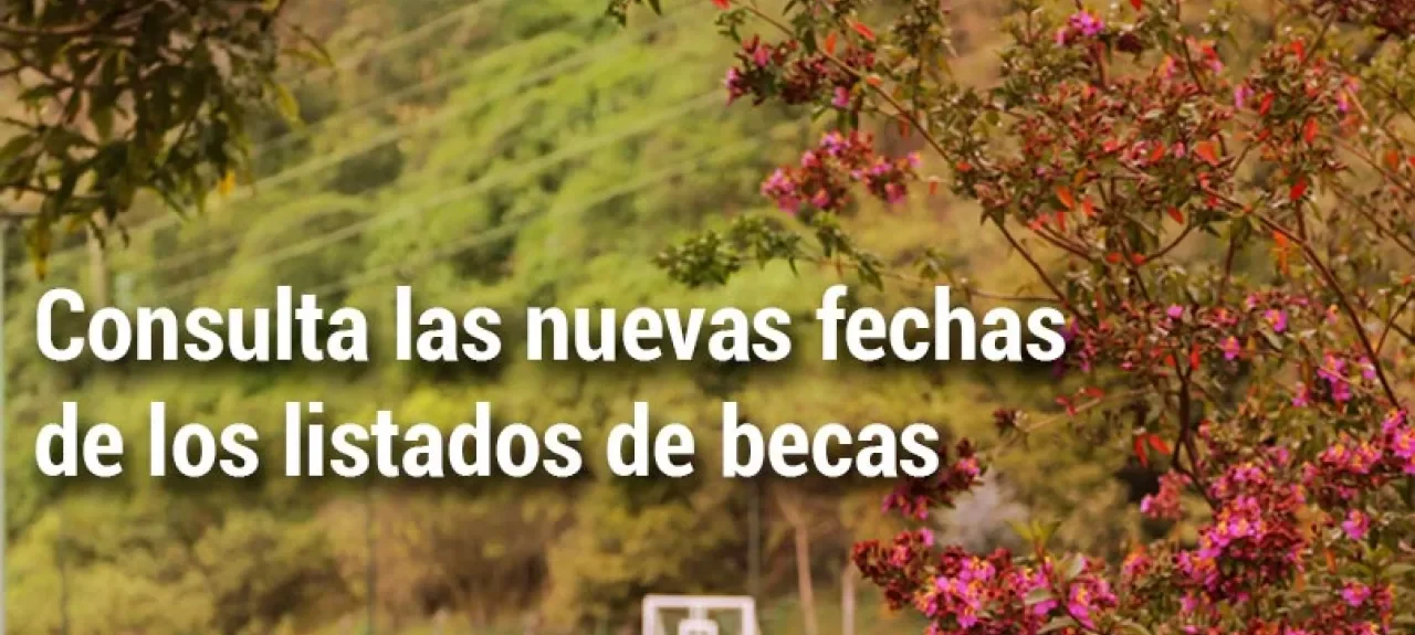 pagina_web_nuevo_listo.jpg