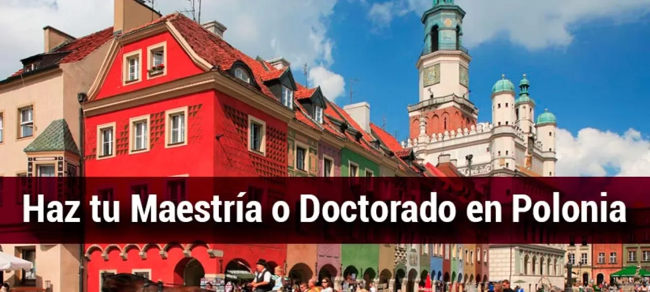 pagina_web_polonia.jpg