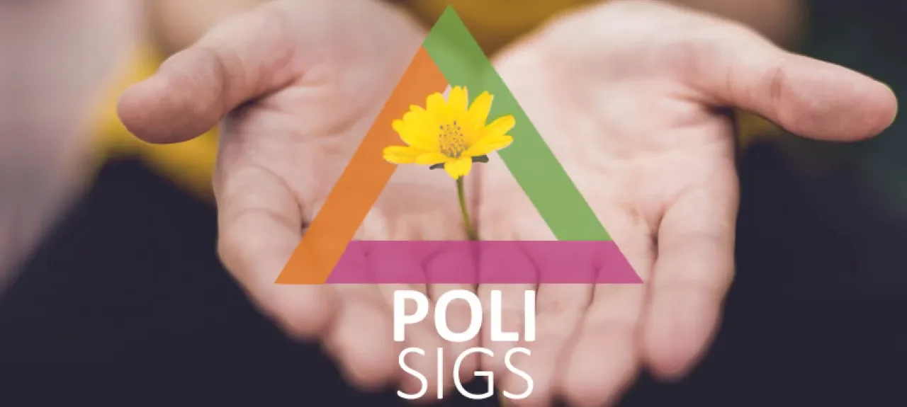 pieza-polisigs.jpg