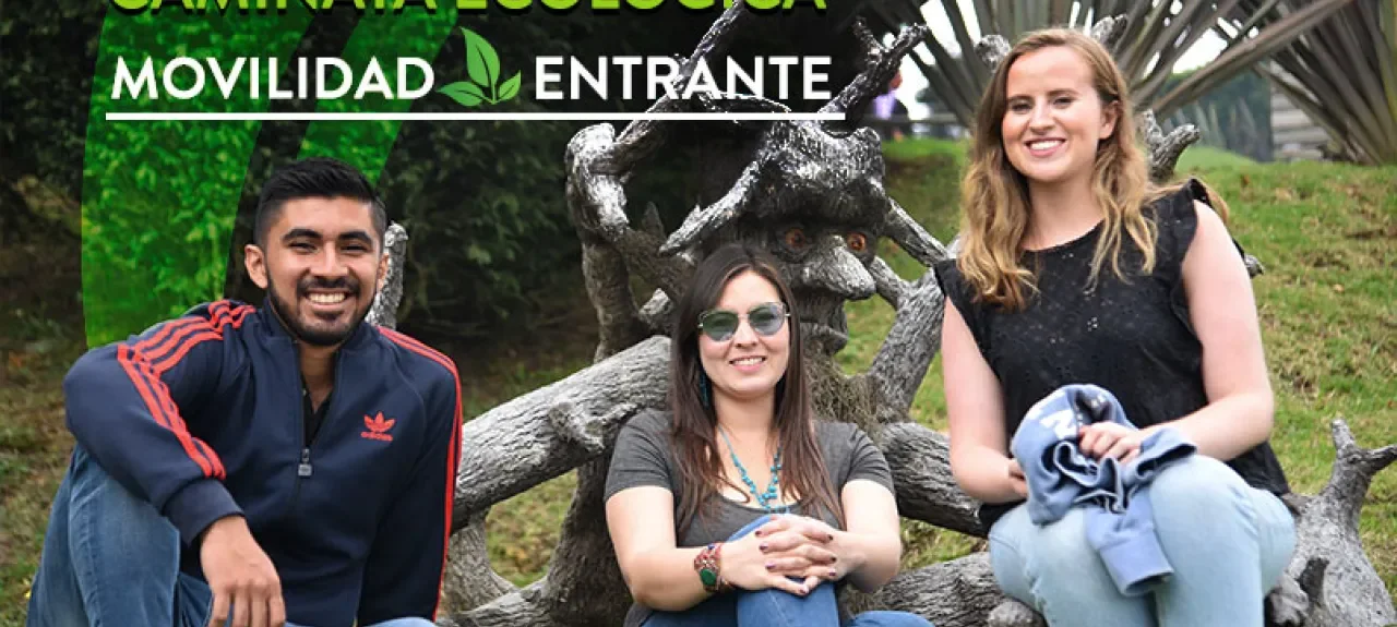 portadanoticia-caminata.jpg