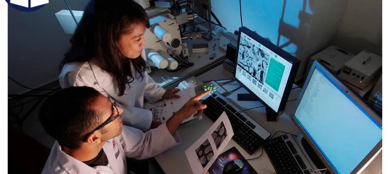 semilleros-investigacion-.jpg