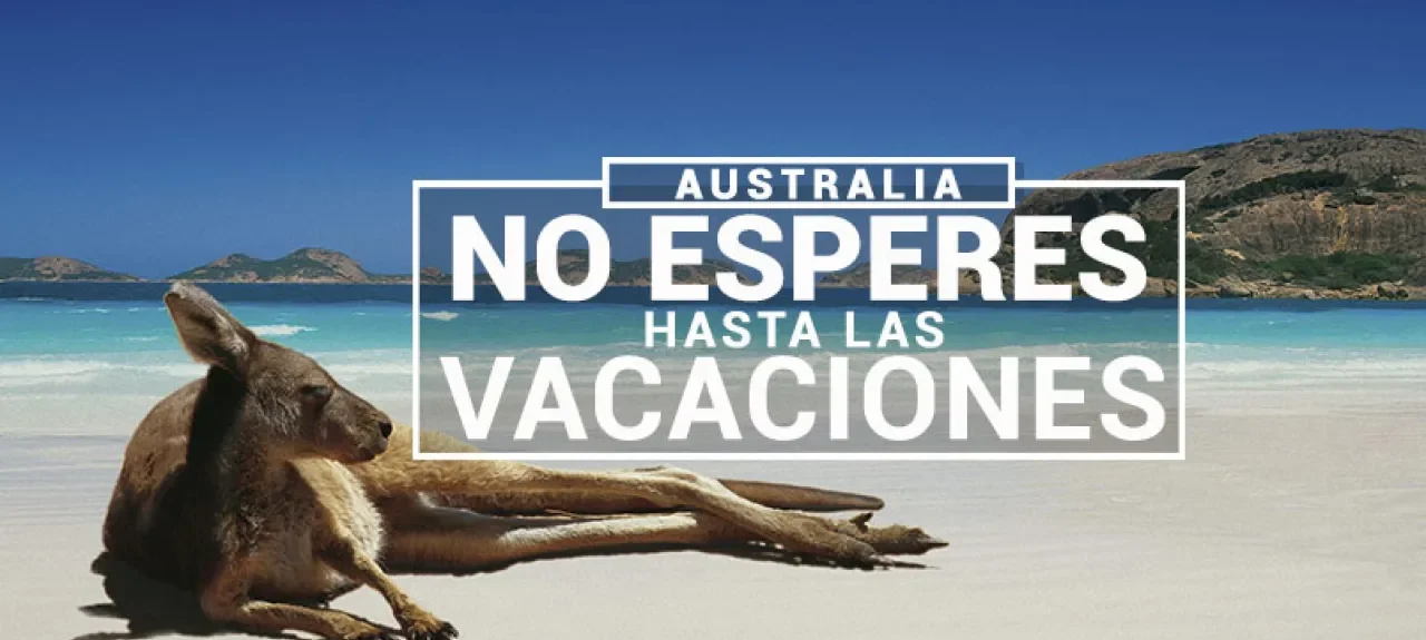 viaja-a-australia-politecnico-grancolombiano-canguro-web.jpg