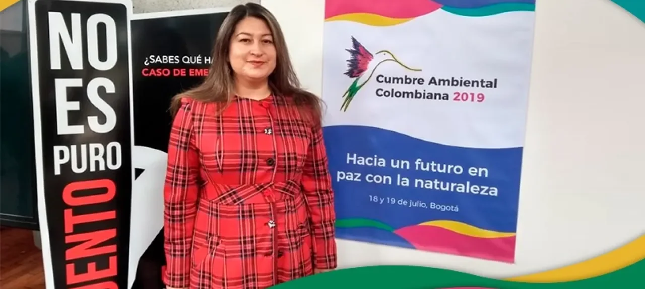 web-n-cumbre-ambiental.jpg