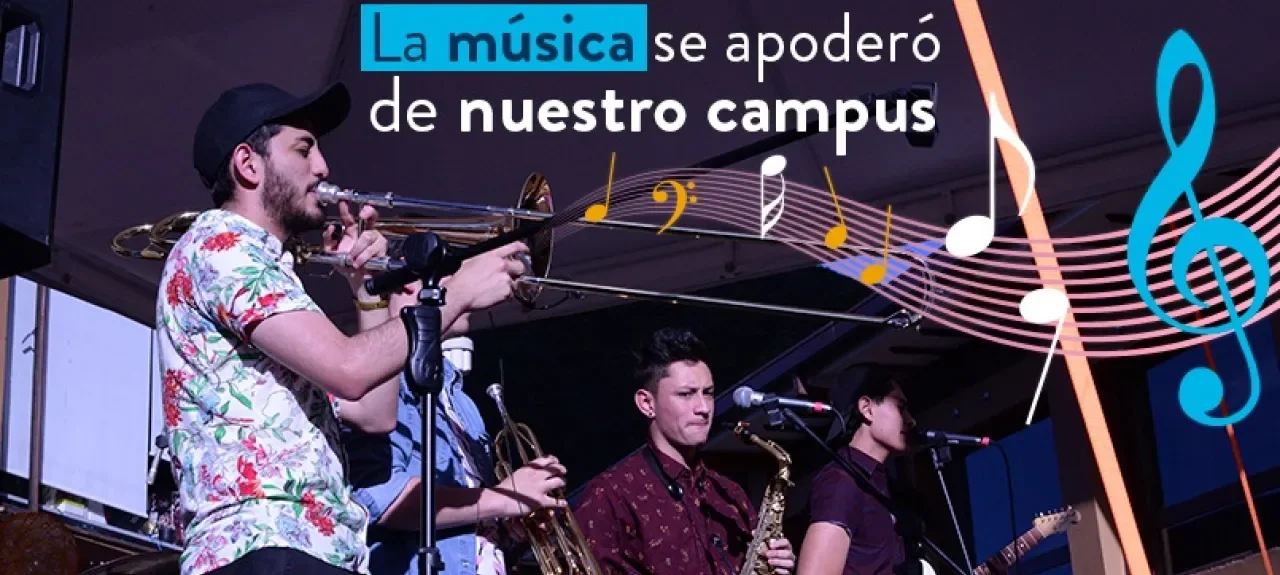 web-n-poli-music.jpg