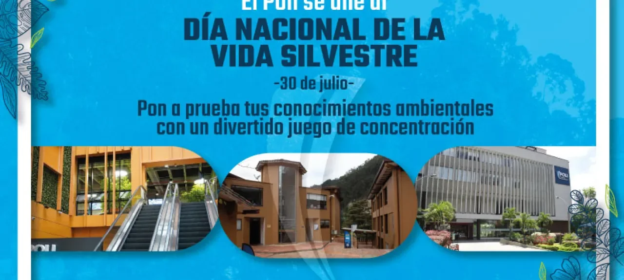 web-noticia-dia-nacional-de-la-vida-silvestre.jpg