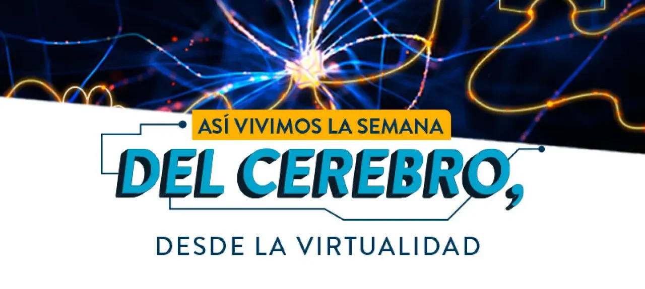 web-noticia-semana-cerebro.jpg