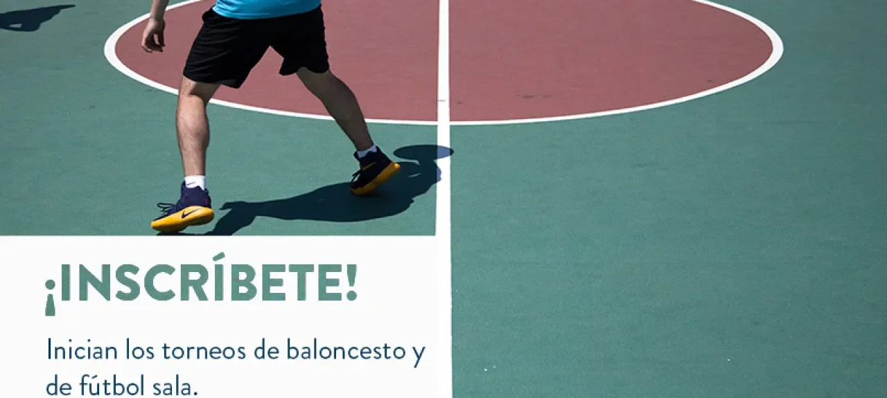 web-noticia_20.jpg