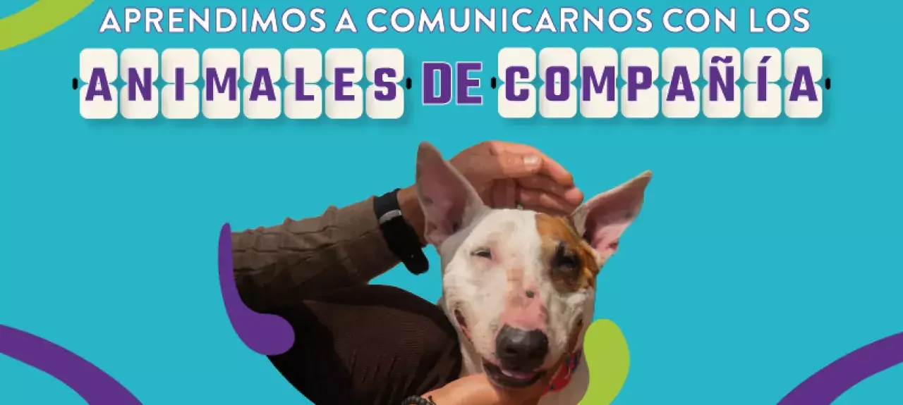 web_noticia-com-4721_-_cubrimiento_animales_de_compania.jpg