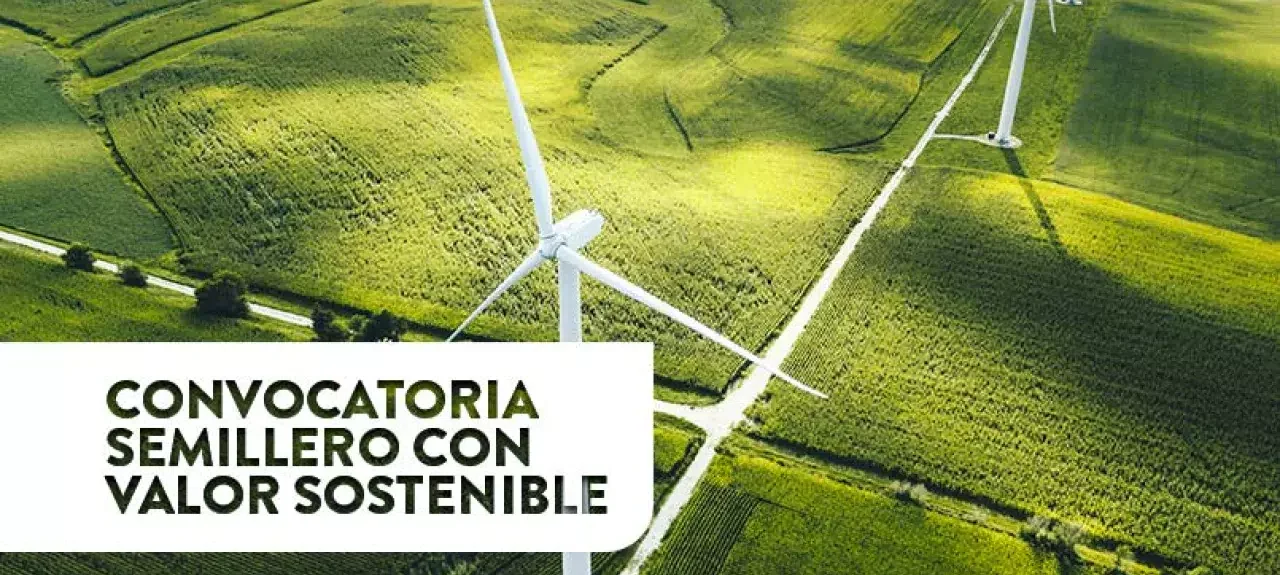 webn-convocatoria-semillero-valor-sostenible.jpg