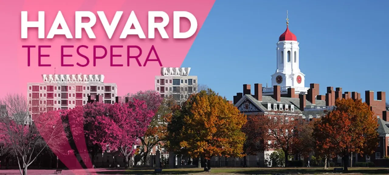 webn-harvard.jpg
