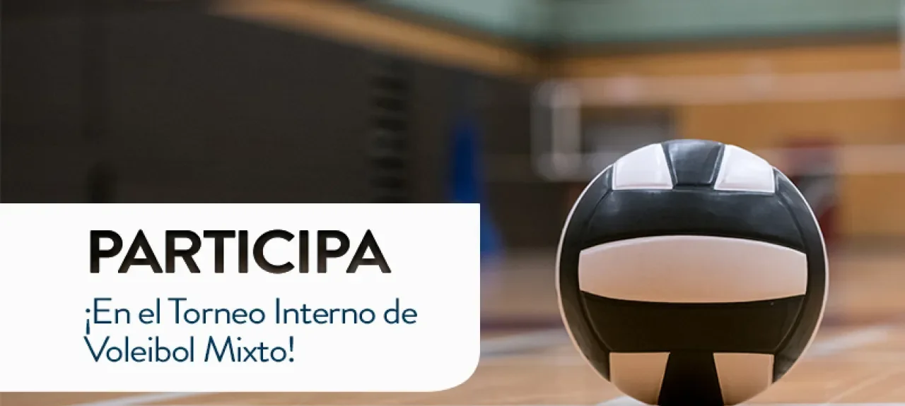 webn-torneo-interno-voleibol.jpg