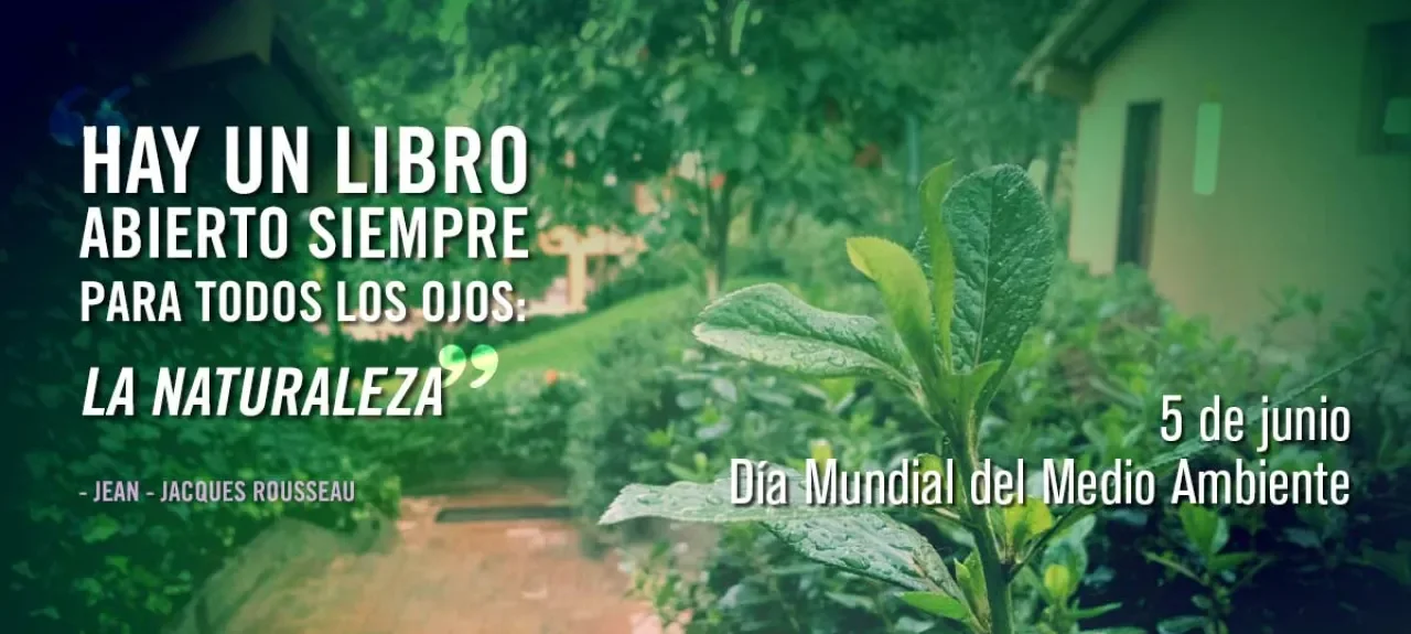 ¡Feliz día al medio ambiente!