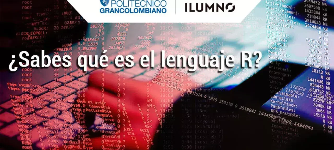 Conferencia Lenguaje R