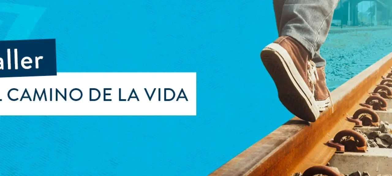 EL CAMINO DE LA VIDA 