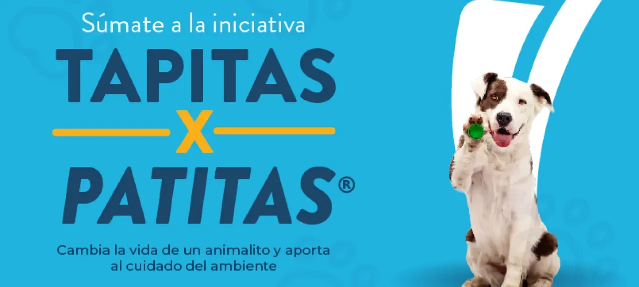 com-5653-_tapitas_x_patitas-web_noticia.jpg