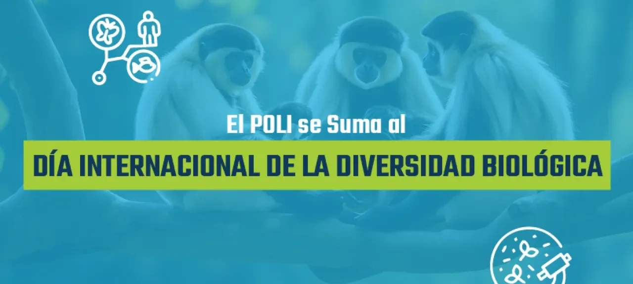 día diversidad biológica