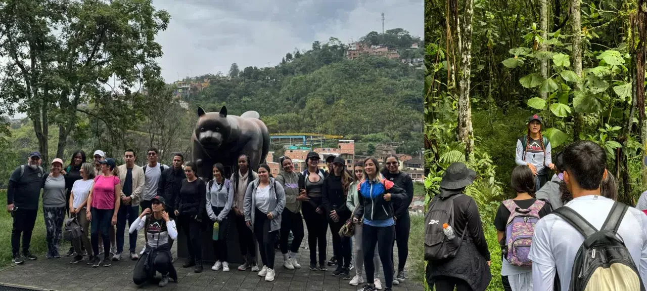 Trekking bosque de ensueño 
