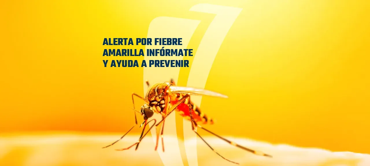 FIEBRE_AMARILLA