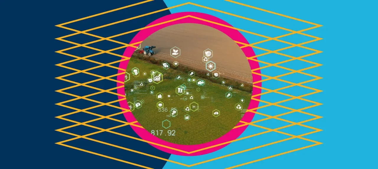 Importancia de la agricultura sostenible para el medio ambiente 