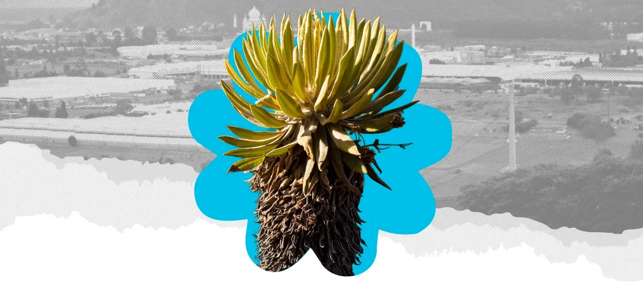 Día De La Diversidad Biológica 