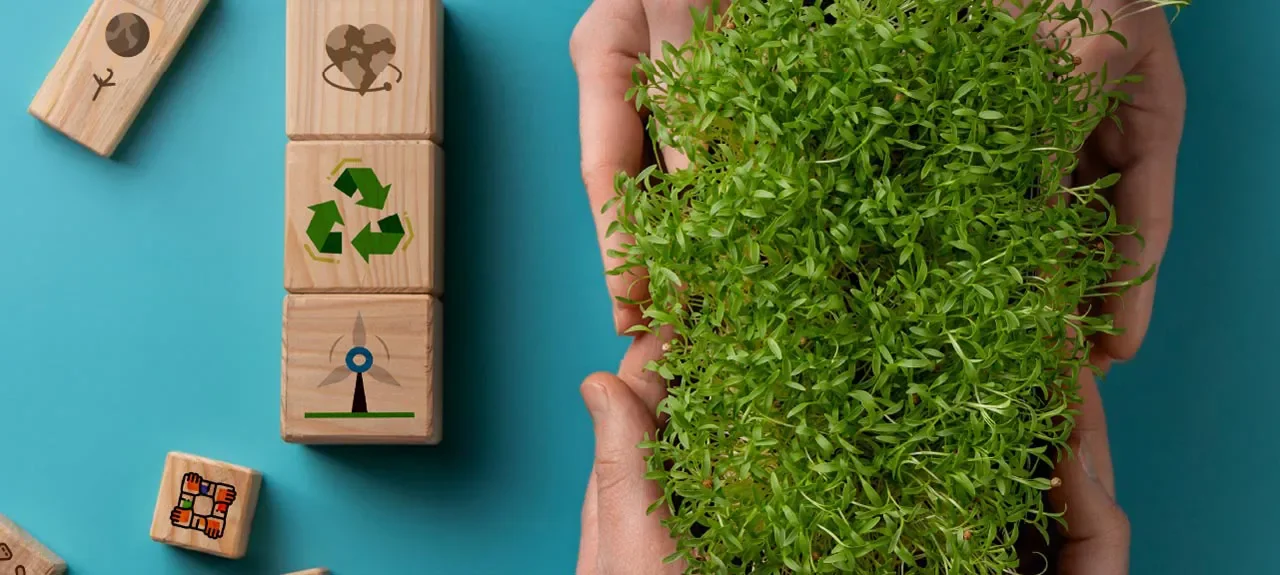 Semillero Investigación Poli Valor sostenible