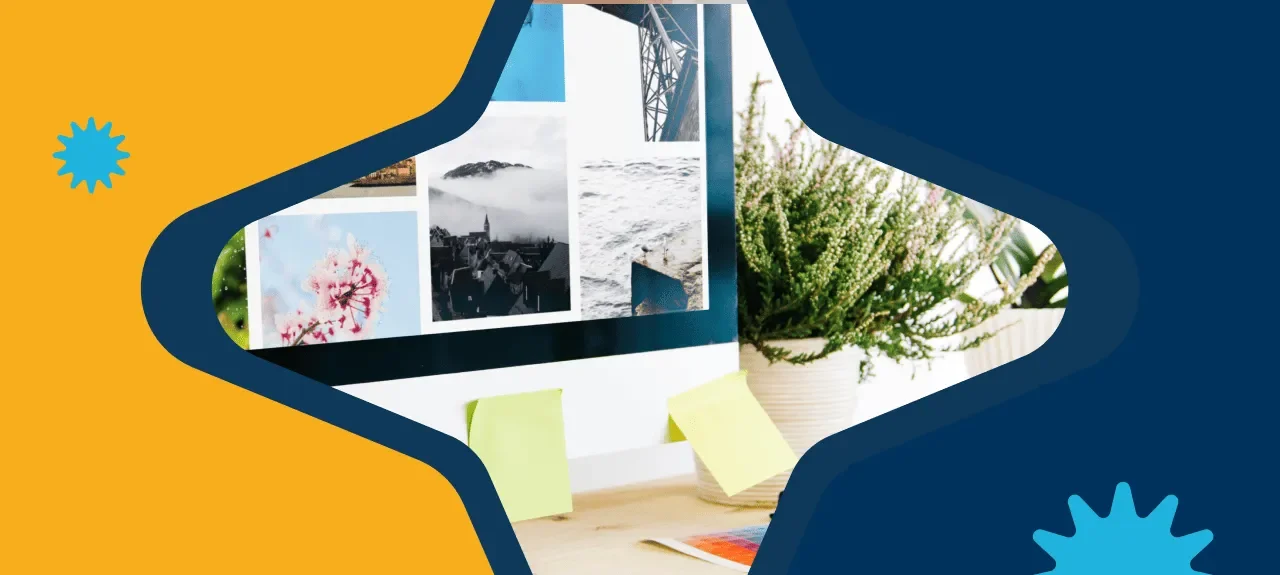 Concepto de portafolio profesional