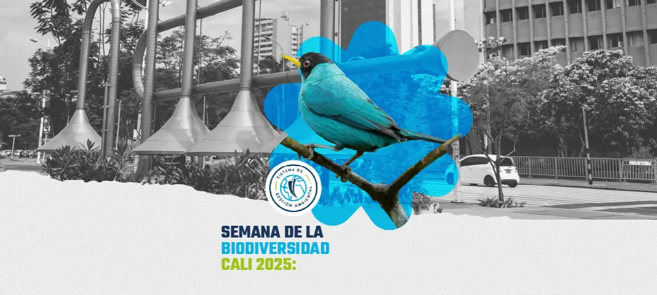  El POLI reflexionará sobre la bioeconomía en la Semana de la Biodiversidad Cali 2025