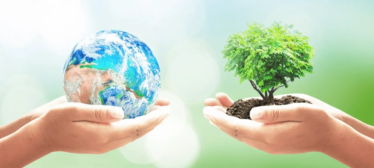 gestion-ambiental-en-universidades-casos-reales