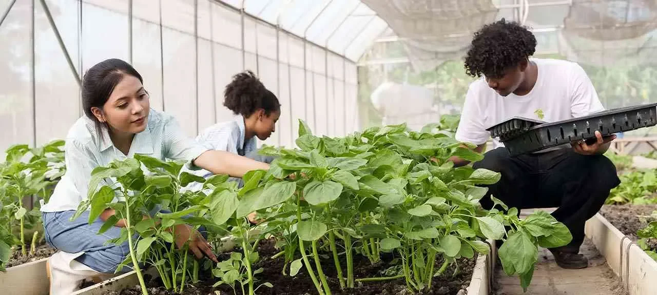 Semillero de Investigación
