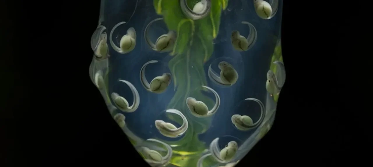 Eugenio Recuenco y Jaime Culebras en Festival 2025