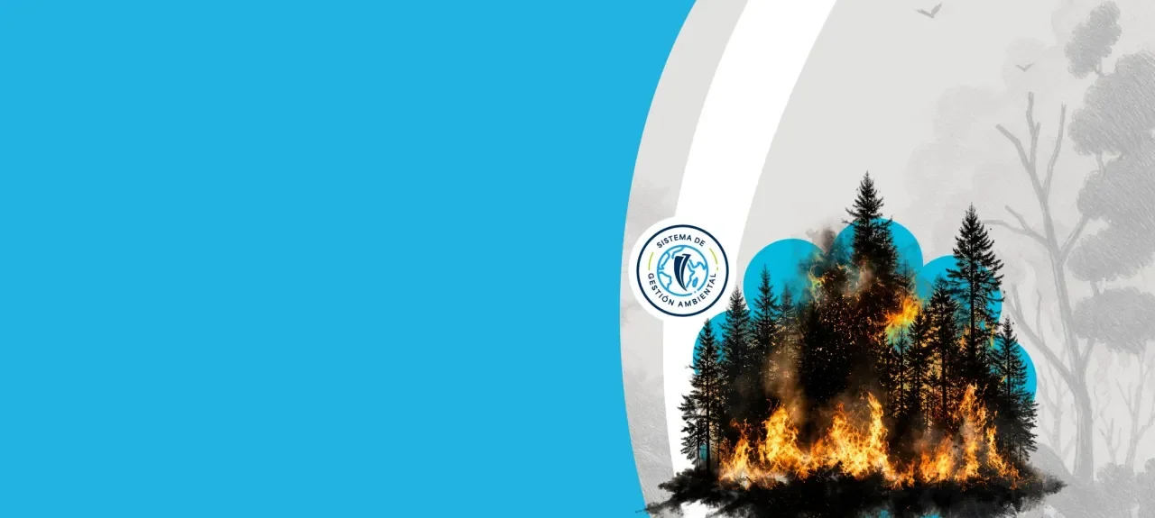 Día Mundial de Prevención de Incendios Forestales
