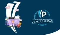 ¿Dónde estudiar Mercadeo y publicidad en Bogotá?