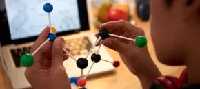 Semillero Investigación Poli Ciencias básicas aplicadas