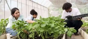 Semillero de Investigación